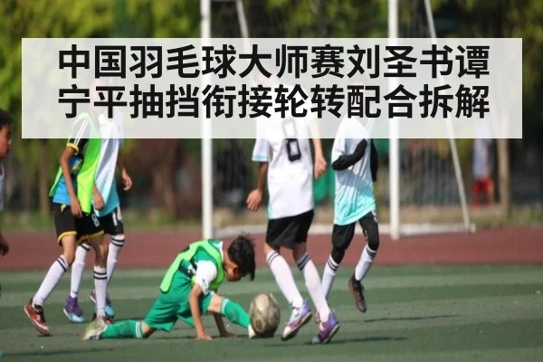 中国羽毛球大师赛刘圣书谭宁平抽挡衔接轮转配合拆解