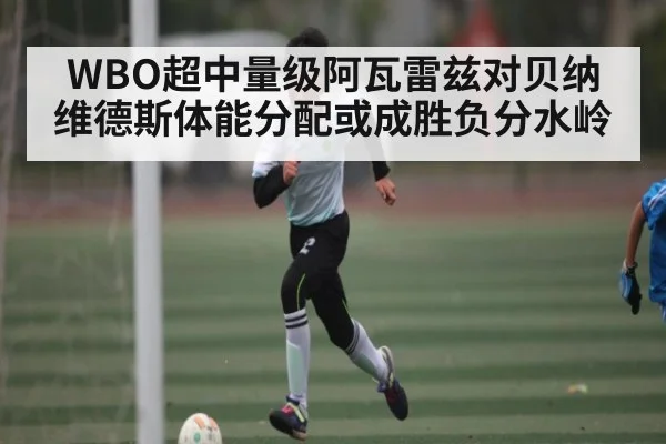 WBO超中量级阿瓦雷兹对贝纳维德斯体能分配或成胜负分水岭